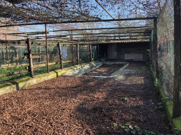locale di sgombero in vendita a Soliera in zona Limidi