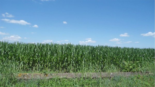 terreno agricolo in vendita a Soliera