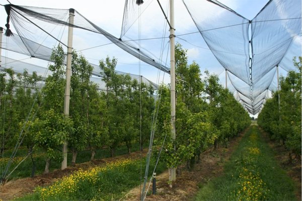 appartamento in vendita a Soliera