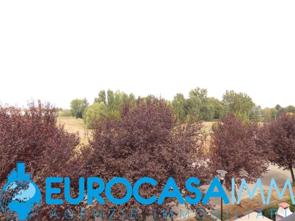 casa indipendente in vendita a Soliera in zona Limidi