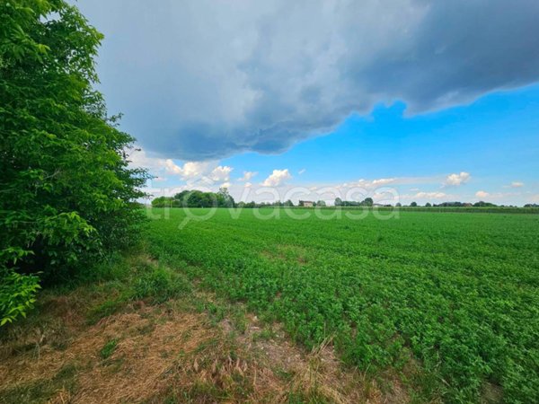 terreno agricolo in vendita a Soliera