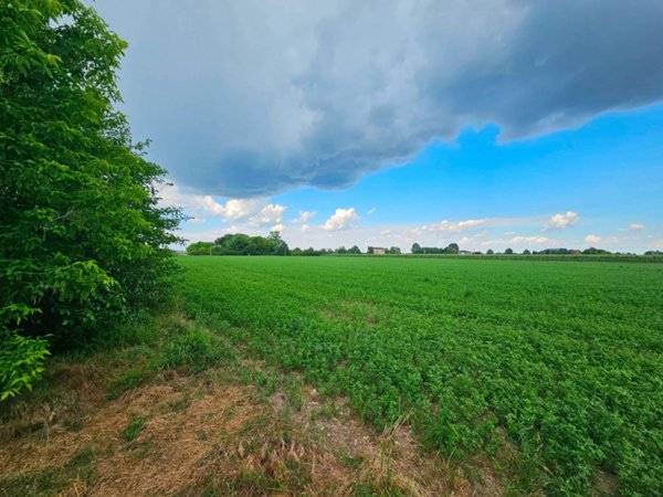 terreno agricolo in vendita a Soliera