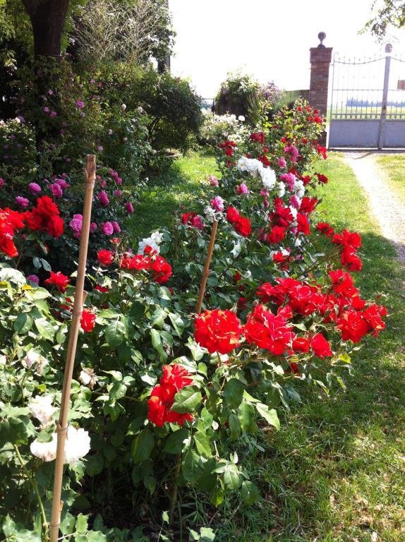 casa indipendente in vendita a Soliera in zona Sozzigalli