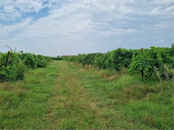 casale in vendita a Soliera