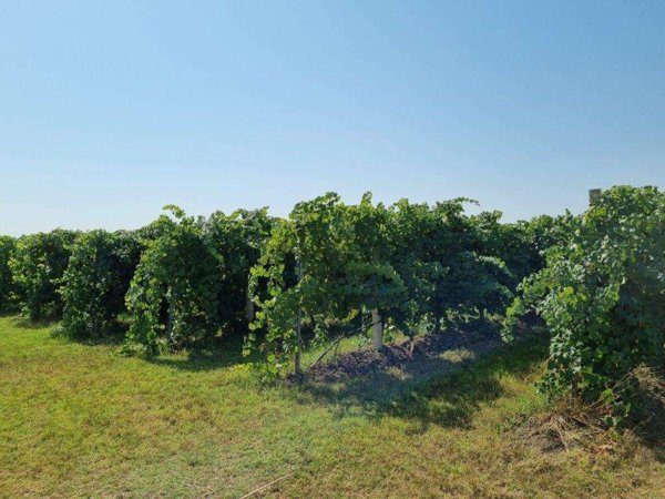 appartamento in vendita a Soliera