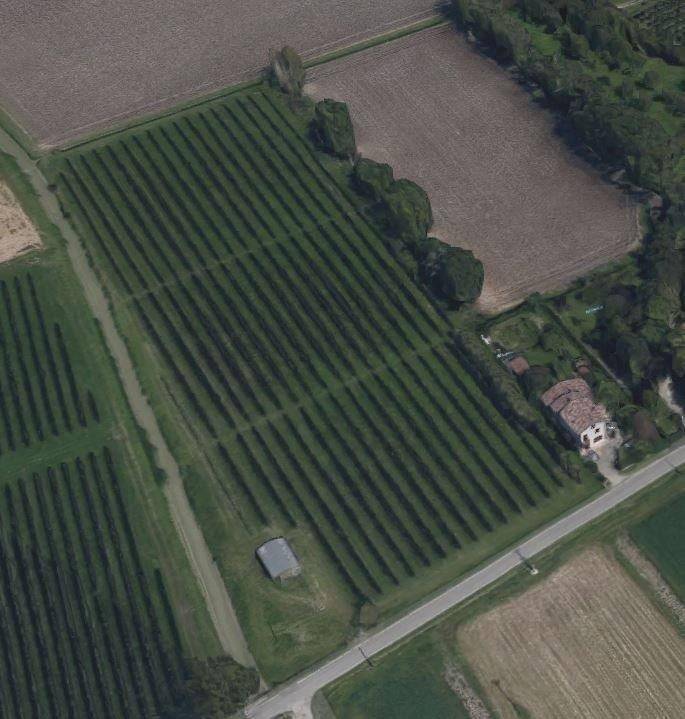 terreno agricolo in vendita a Soliera