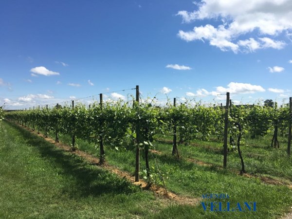 terreno agricolo in vendita a Soliera in zona Sozzigalli