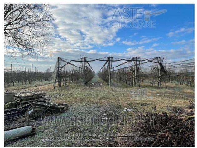 terreno edificabile in vendita a Soliera