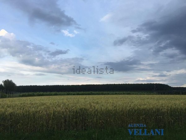 terreno agricolo in vendita a Soliera