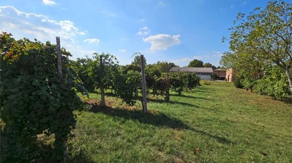 azienda agricola in vendita a Soliera