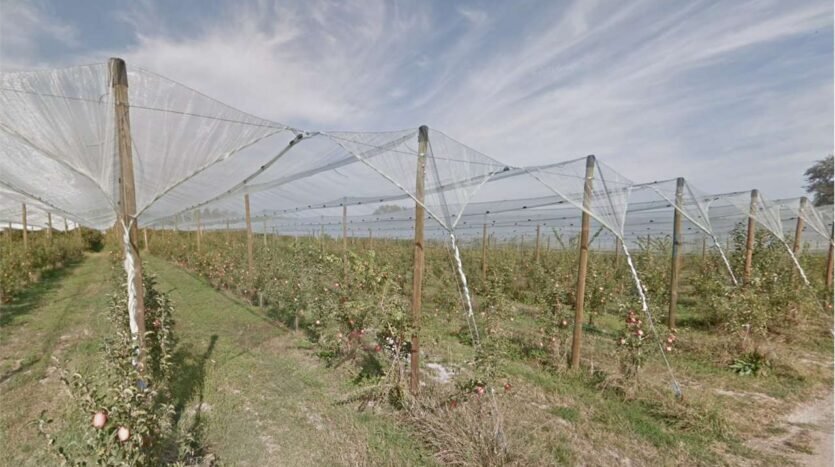 azienda agricola in vendita a Soliera