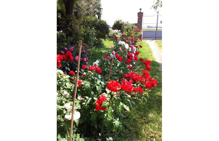 casa indipendente in vendita a Soliera in zona Sozzigalli