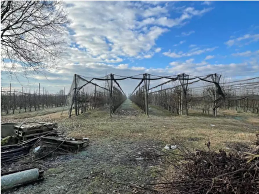 terreno agricolo in vendita a Soliera