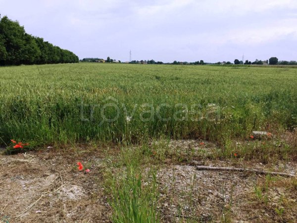 terreno edificabile in vendita a Soliera in zona Limidi