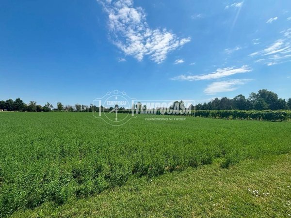 azienda agricola in vendita a Soliera in zona Appalto