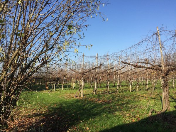 terreno in vendita a Soliera in zona Limidi