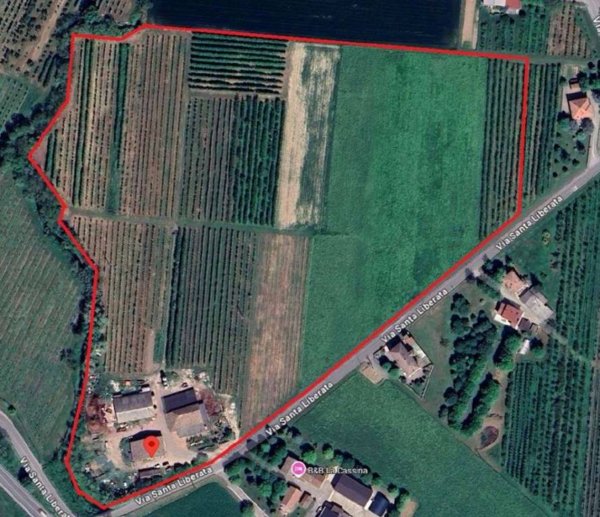 negozio in vendita a Spilamberto