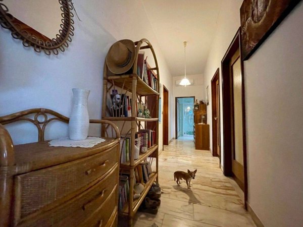 immagine annuncio 0 di 15