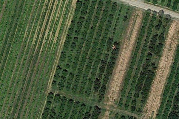 appartamento in vendita a Vignola