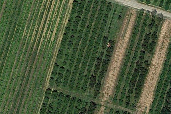 appartamento in vendita a Vignola