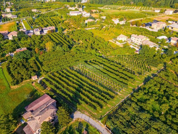 terreno agricolo in vendita a Vignola