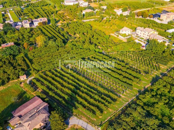 terreno agricolo in vendita a Vignola