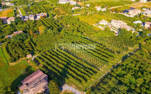 terreno agricolo in vendita a Vignola