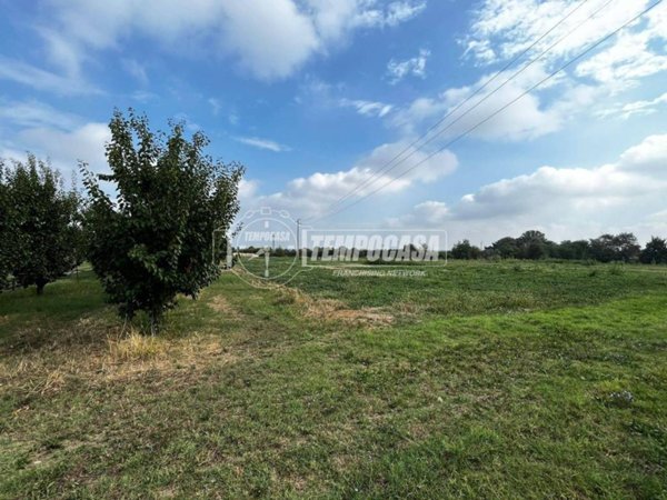 terreno agricolo in vendita a Vignola