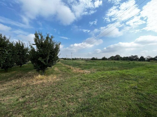 terreno agricolo in vendita a Vignola