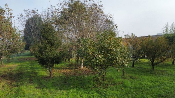 terreno edificabile in vendita a Vignola