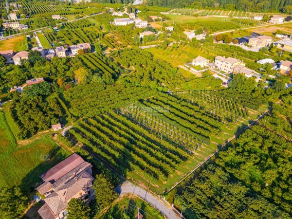 terreno agricolo in vendita a Vignola