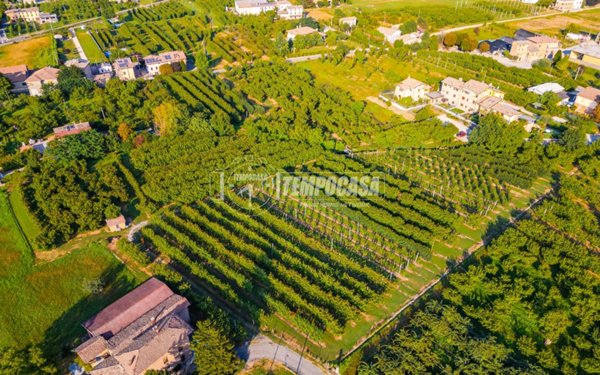 terreno agricolo in vendita a Vignola
