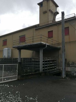 capannone in vendita a Vignola