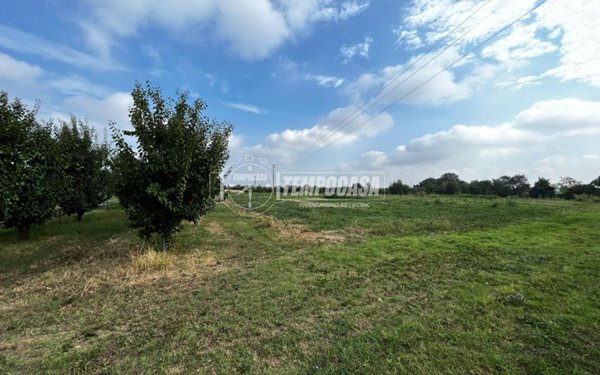 terreno agricolo in vendita a Vignola