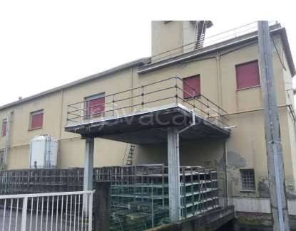 capannone in vendita a Vignola