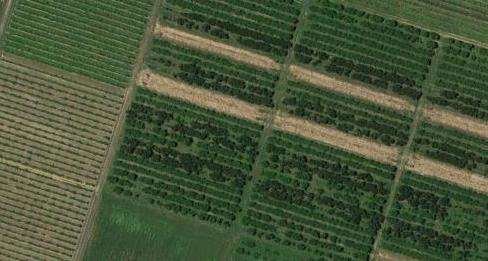 terreno agricolo in vendita a Vignola