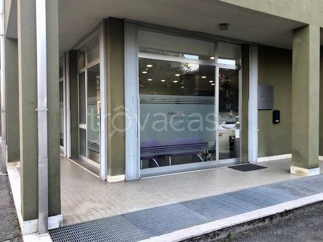 immagine annuncio 0 di 12