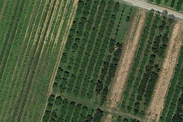 terreno agricolo in vendita a Vignola