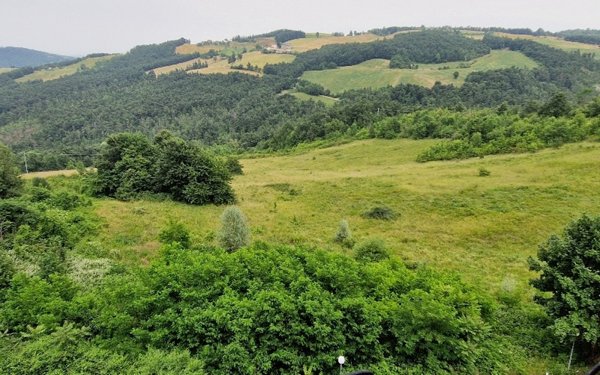 terreno agricolo in vendita a Zocca