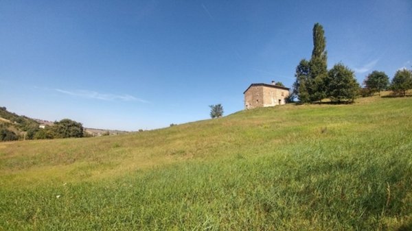 casa indipendente in vendita a Zocca in zona Ciano