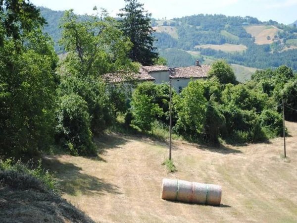 casa indipendente in vendita a Zocca in zona Missano