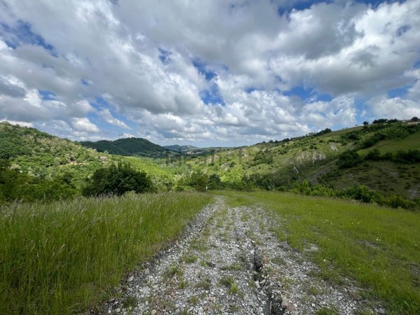 quadrivano in vendita a Zocca