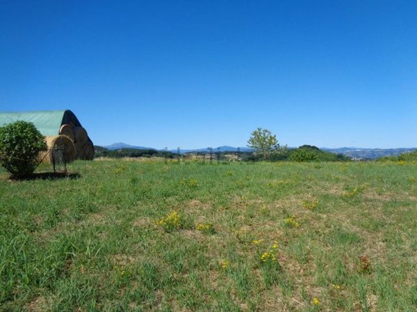 terreno edificabile in vendita a Zocca in zona Monteombraro