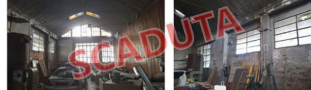 pentavano in vendita a Zocca