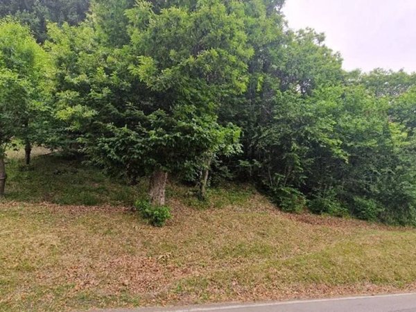 terreno agricolo in vendita a Zocca