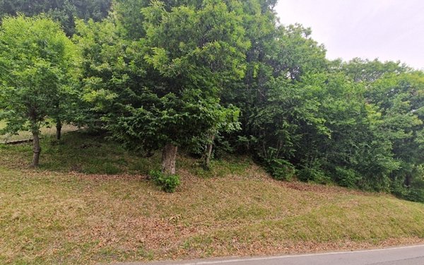 terreno in vendita a Zocca