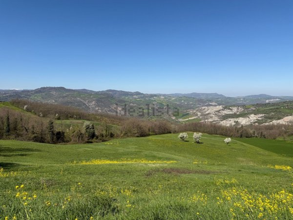 casa indipendente in vendita a Zocca