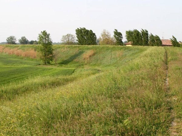 terreno agricolo in vendita ad Argelato