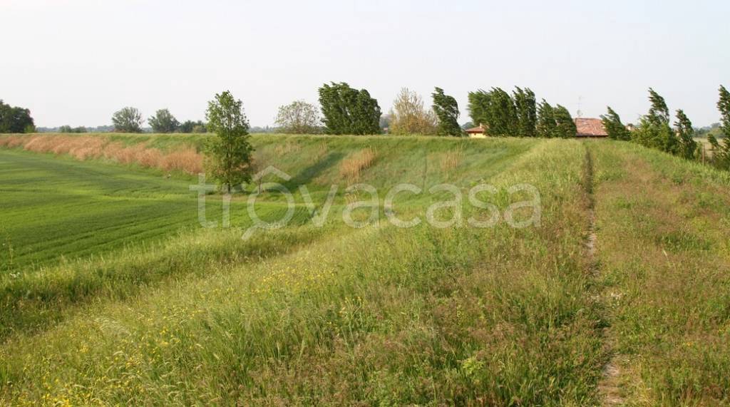 terreno agricolo in vendita ad Argelato