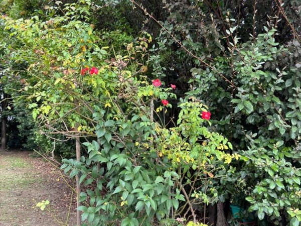 appartamento in vendita ad Argelato in zona Funo